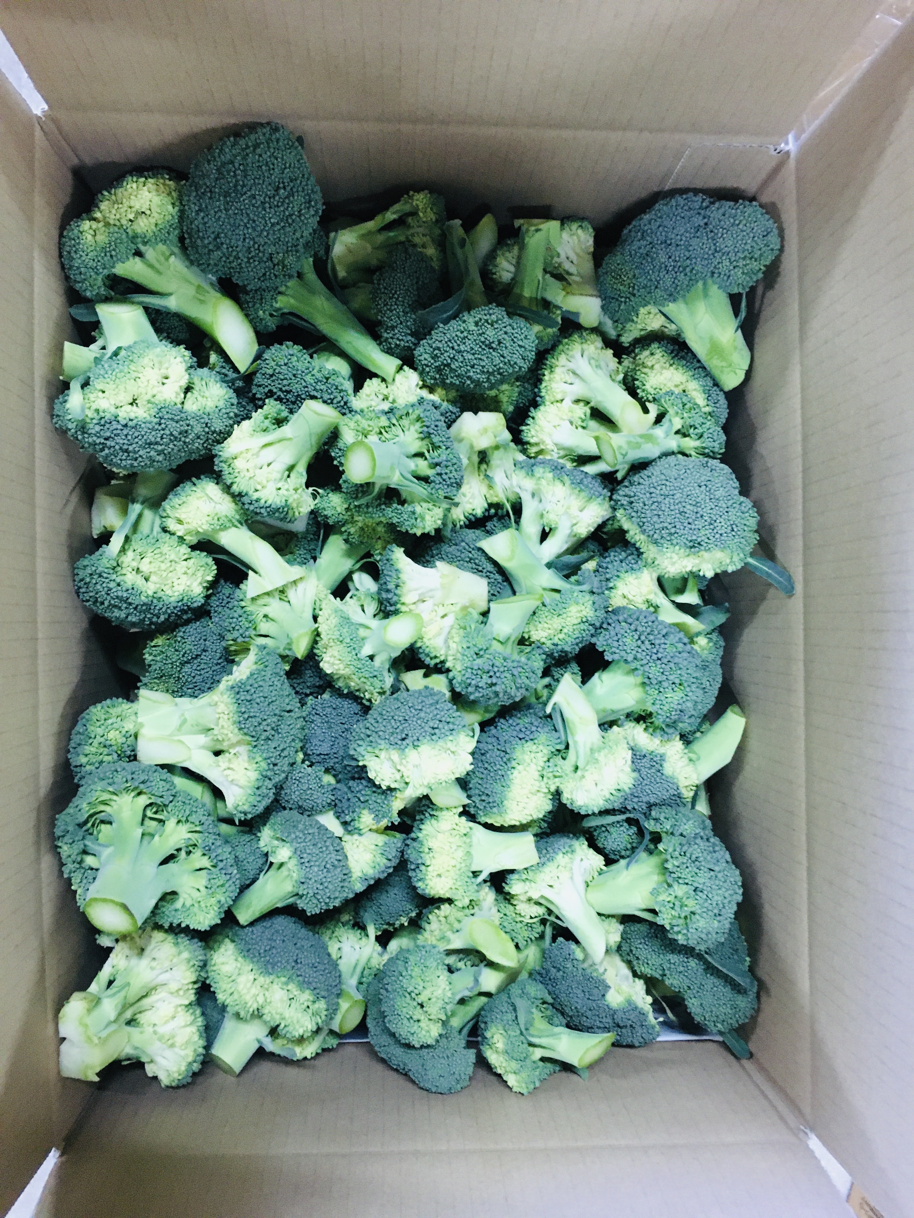 洗って茹でるだけ！！野菜王国深谷産♡新鮮美味しい秋冬カット