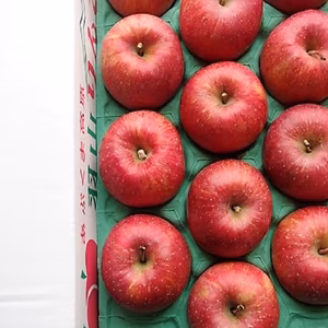 かぐや姫印　完熟サンふじりんご２Ｌサイズ５ｋｇ