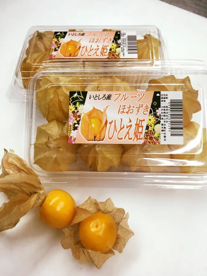 フレッシュ！　フルーツほおずき「ひとえ姫」