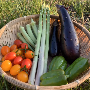 晴れの国育ち旬の野菜セット（クール便80サイズ）