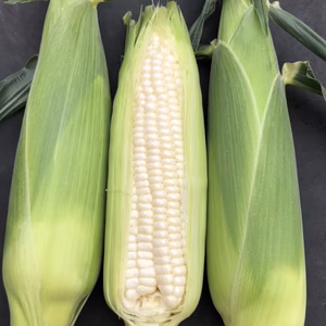 ホワイトショコラとホワイトショコラのヤングコーン