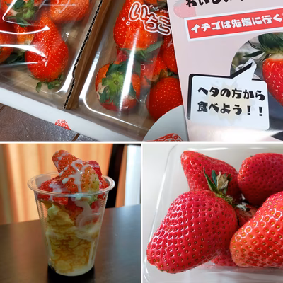 みんなの投稿の画像