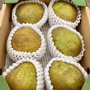 2L以上確定！【訳ありラフランス】 約2ｋｇ お買い得な家庭用♪