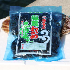 【冷凍保存可】「塩蔵ワカメ」500gパック【個数選べます】