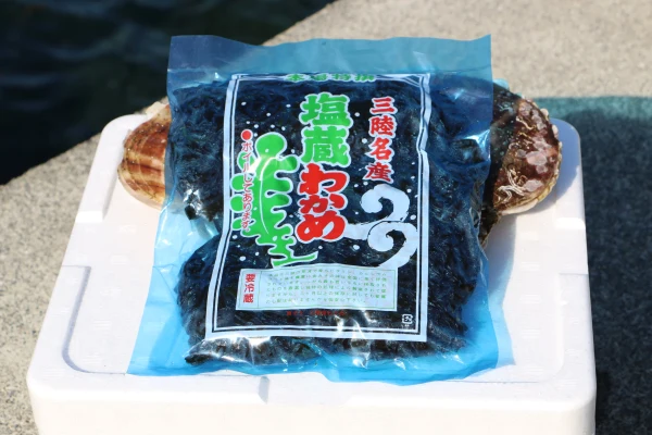 【冷凍保存可】令和7年産「塩蔵ワカメ」500g入り【個数選べます】
