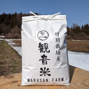 青森 特別栽培米【観音米～KANNONMAI～】つがるロマン10kg