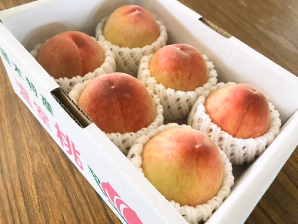 【お試し】温室桃はなよめ計1.2kg(4〜6玉入り)