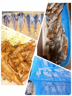 みんなの投稿の画像