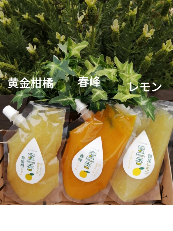 【特別セール】プチドライ付❢（黄金柑橘＆国産レモン&春峰）マーマレード
