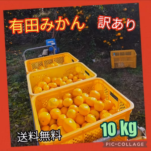 有田みかん　ご家庭用　10kg（箱込）100
