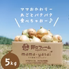 【笑顔になるデカたま】子どもたちが丸ごと食べれる♪新たまねぎ ５kg