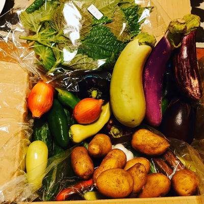 みんなの投稿の画像