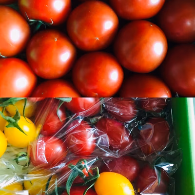 みんなの投稿の画像