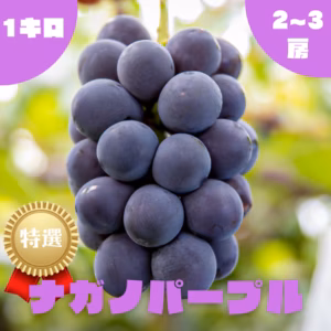 【特選】ナガノパープル・1.0kg・2~3房
