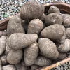 ヤギの畑の、のんびり里芋（一箱=約2kg、農薬不使用）