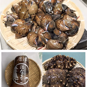 新鮮とれたて！黒バイ貝赤ナマコセット(年内最終発送日12/28(木)に発送)