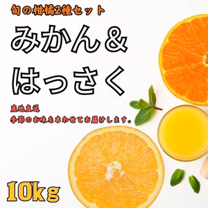 10kg和歌山セット 完熟はっさく+みかんセット 減農薬 濃い   八朔  蜜柑