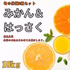 10kg和歌山セット 完熟はっさく+みかんセット 減農薬 濃い   八朔  蜜柑