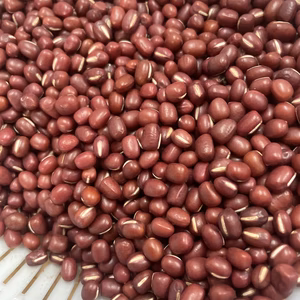 宮崎県産　小豆