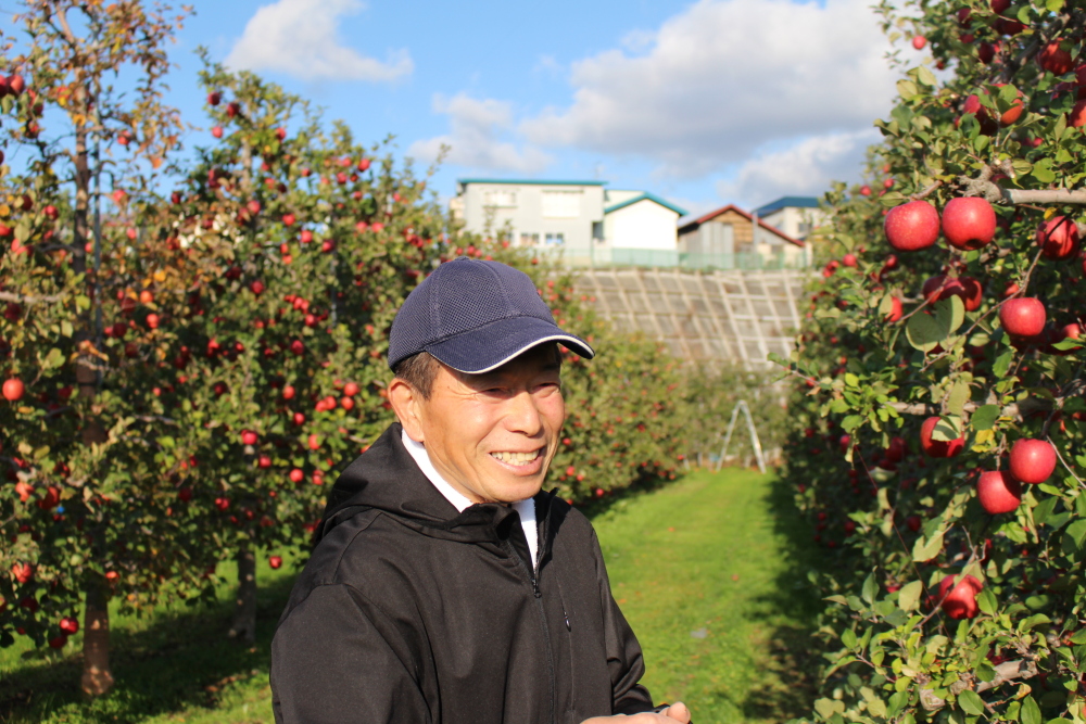 最初の 紅はるか 大袋バラ詰め 1.5K 干し芋