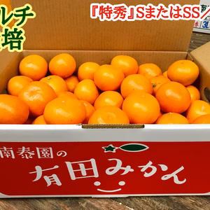 【マルチ栽培・有田みかん】『特秀』SまたはSS／5kg【南泰園】