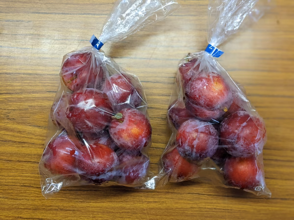すもも　菅野中生(かんのなかて)9個程度の袋詰め詰め✕2です。