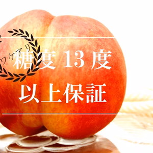 【B品】和歌山感動完熟桃【糖度13度以上保証】