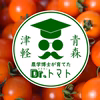 採れたて直送ミニトマト！【農学博士のDr.トマト】クール便