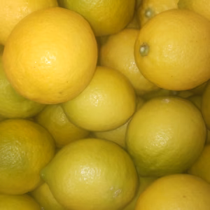 皮も使える広島県産レモン   小玉良品 2kg 約23個入