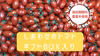 【母の日にどうぞ！】おいしくて止まらない！しあわせのトマトギフト用
