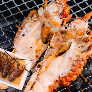 【生冷凍】宮崎産天然伊勢海老｜鮮度そのまま（500g〜2kg）