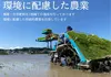 【令和5年新米】ふっくら旨い 魚沼産コシヒカリ 5kg 精米