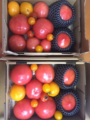 みんなの投稿の画像