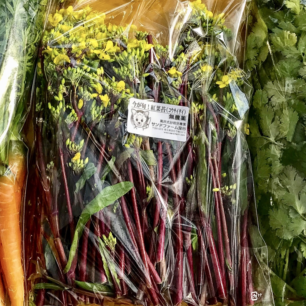 旬の味覚 甘くて柔らか 紅菜苔 コウサイタイ 無農薬 砂栽培 農家漁師から産地直送の通販 ポケットマルシェ