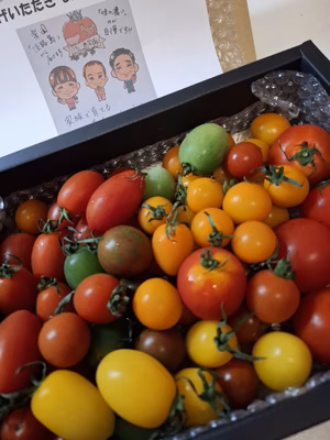 みんなの投稿の画像