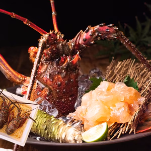 【活かして発送】甘み濃厚な天然伊勢エビ（宮崎産｜500g〜）