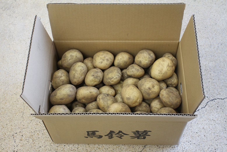 鹿児島県指宿産 ニシユタカ 新じゃがいも 10キロ - 野菜