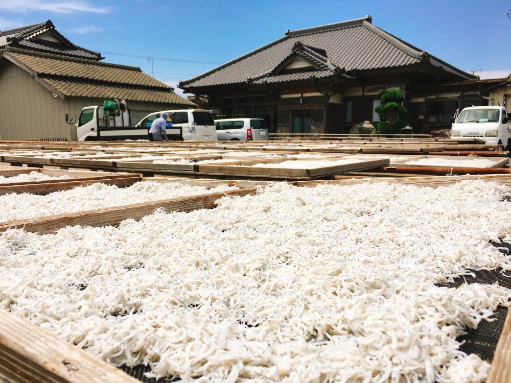 最上品 無添加 網元が作る天日干しシラス 化粧箱入り 農家漁師から産地直送の通販 ポケットマルシェ