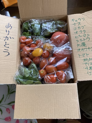 みんなの投稿の画像