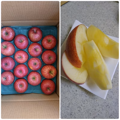 みんなの投稿の画像