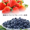 【新商品】ベリーベリー和紅茶／2g×8 松田製茶 猿島茶 TBG-044
