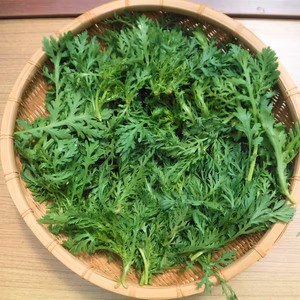 【訳アリ】春菊 M/Sサイズ