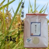 令和２年産茨城県産コシヒカリ「風のひかり」５㎏（約33合）