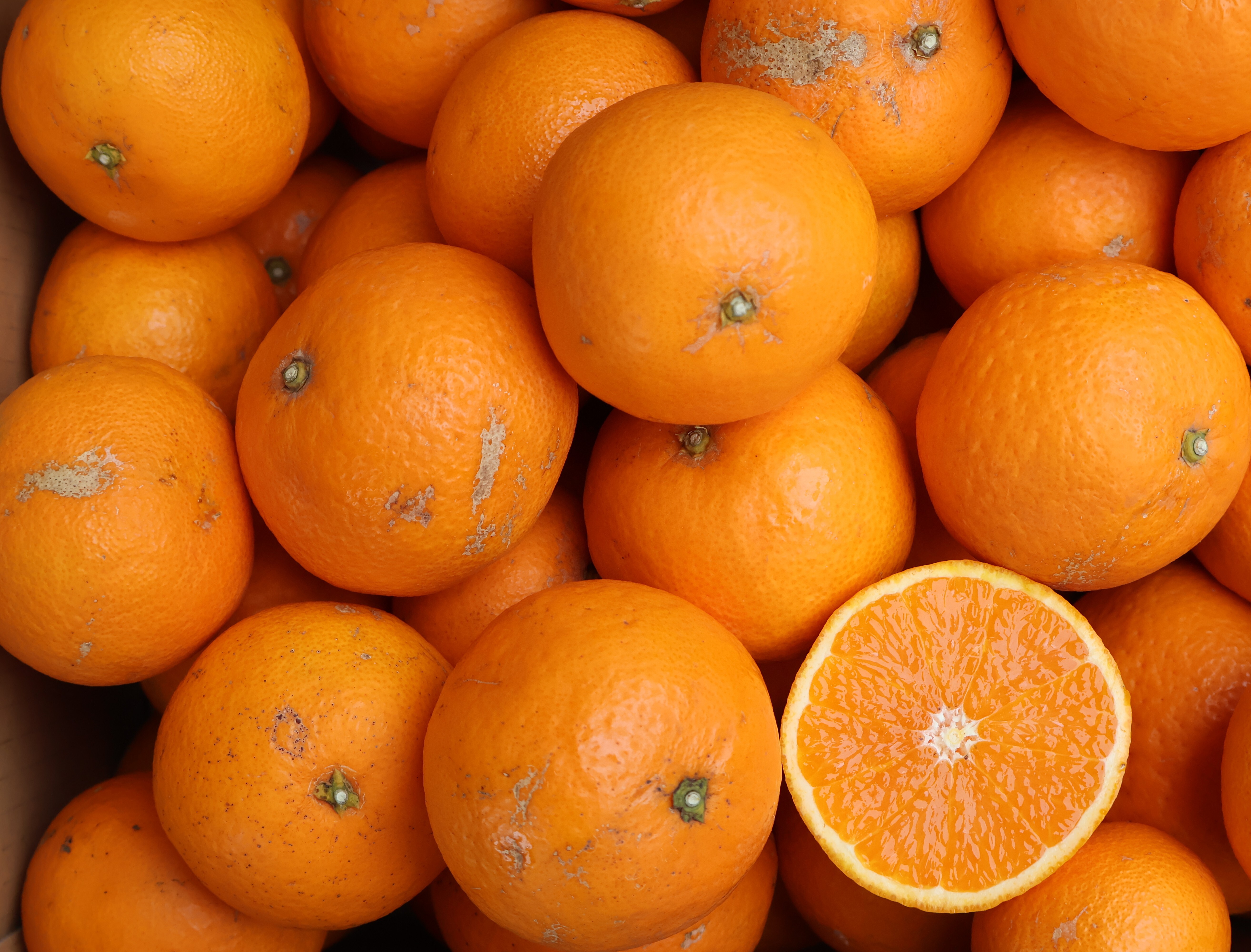 農家直送!きよみオレンジ 訳あり3Kg〜≪サイズ混合≫平武農園 一箱(3Kg)