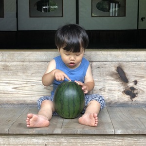 【7/31発送】期間限定！鳥取県産 小玉スイカ2玉