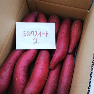 ✨１泊家族再放送✨【今だけ買える❗】蜜がた～っぷ シルクスイート 大きさ色々