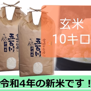 新米　五百川玄米10㎏　減農薬栽培