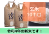 新米　五百川玄米10㎏　減農薬栽培