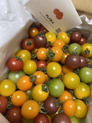 みんなの投稿の画像