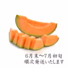 熊本県産　赤肉メロン　クインシーメロン　２玉　５Ｌサイズ　５玉　３Ｌサイズ